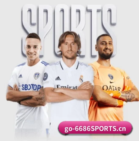 6686体育 APP